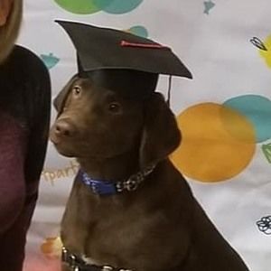 Meet your Posher, Brenda